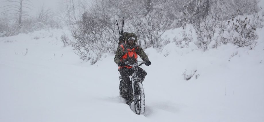 Photo Winter tires, Bicycle